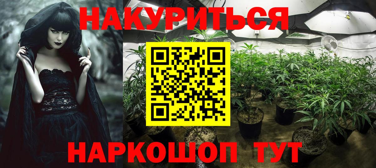Марихуана THC 21%  Каннабис семена  Вход с VPN  МАРИХУАНА конопля  Каннабис ГИДРОПОН  Санкт-Петербург 